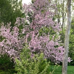 Meet your Posher, Bridget